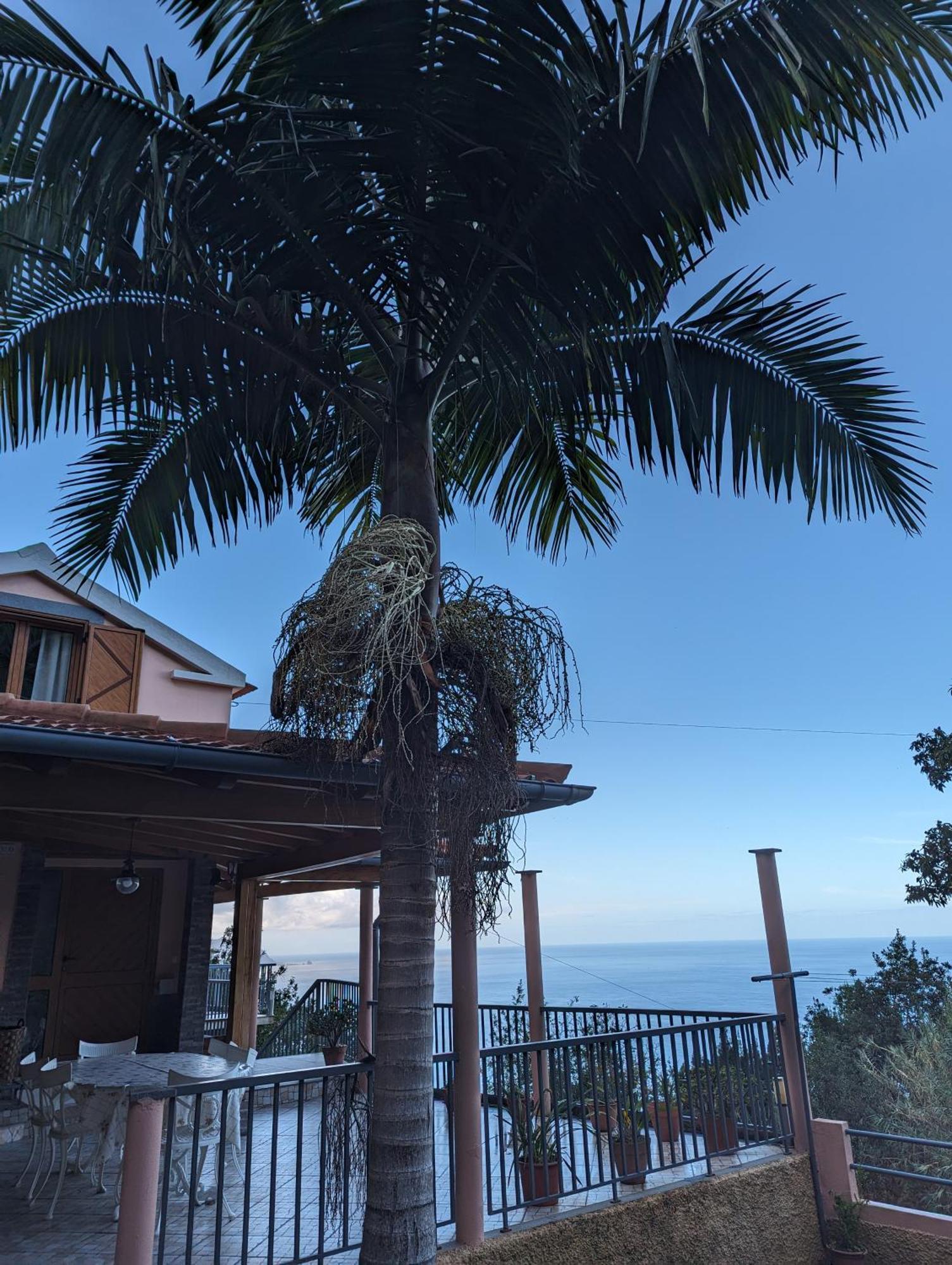 פונטה דלגדה Fantatic Holiday House מראה חיצוני תמונה