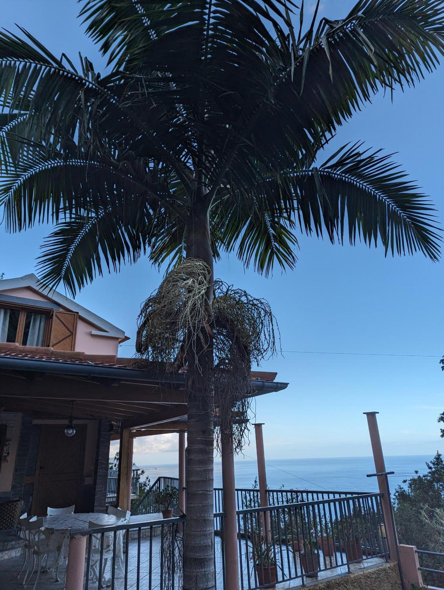 פונטה דלגדה Fantatic Holiday House מראה חיצוני תמונה